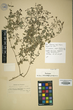 LE 01016133
