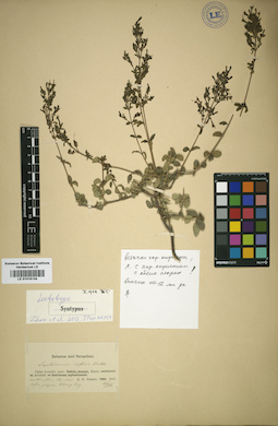 LE 01016134