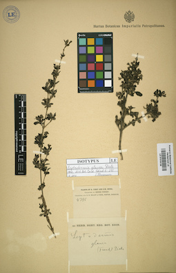LE 01016136
