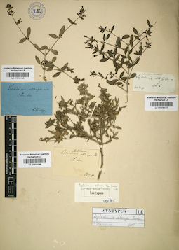 LE 01016139