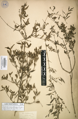 LE 01016140