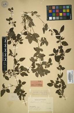 LE 01016142