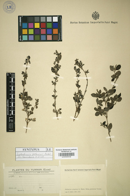 LE 01016143