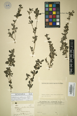 LE 01016145