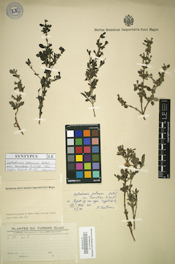 LE 01016146