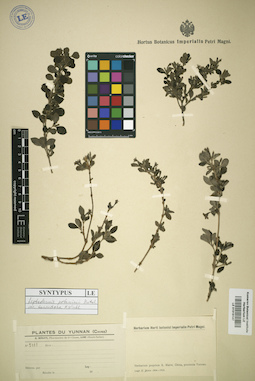 LE 01016147