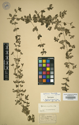 LE 01016149