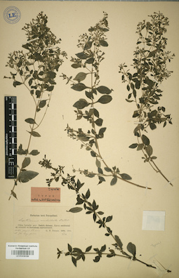 LE 01016150