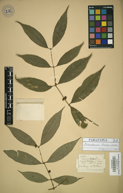 LE 01016152