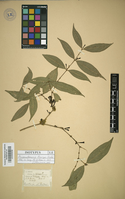 LE 01016154