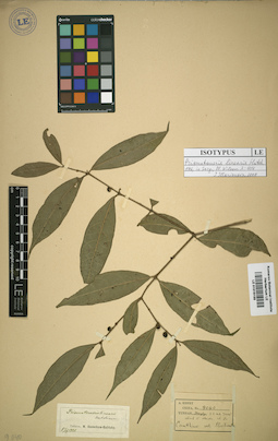 LE 01016155