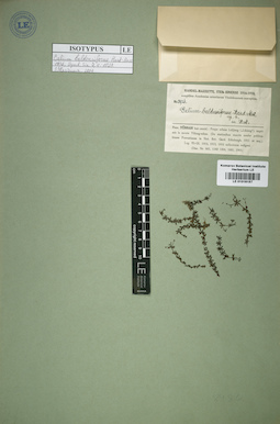 LE 01016157