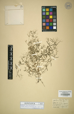 LE 01016162