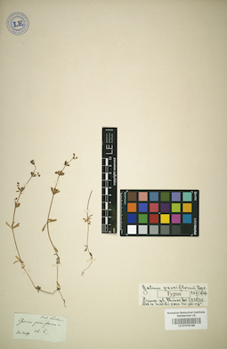 LE 01016166