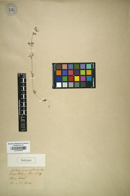 LE 01016167