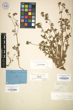 LE 01016174