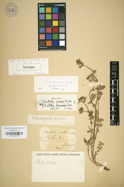 LE 01016175