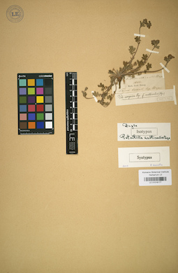 LE 01016177
