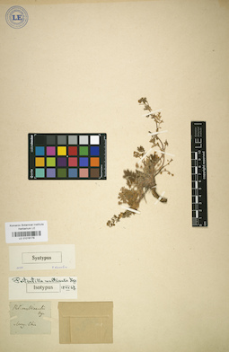 LE 01016178