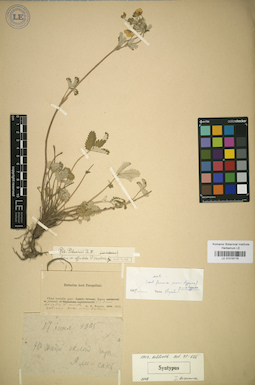 LE 01016179