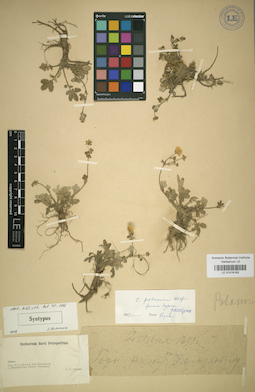 LE 01016182