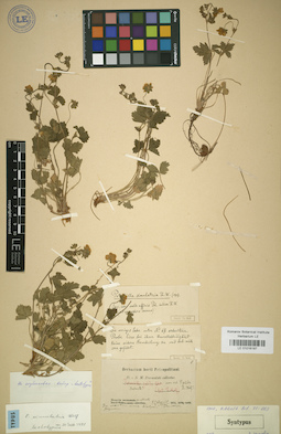 LE 01016187