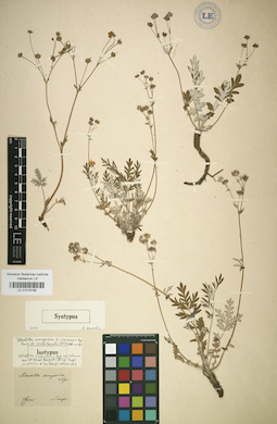 LE 01016188
