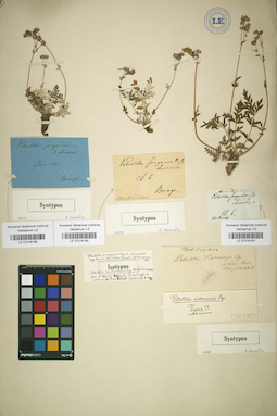 LE 01016190