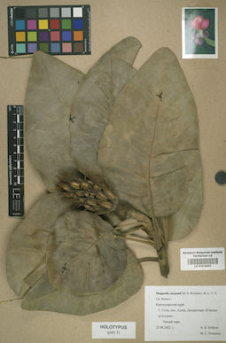 LE 01016201