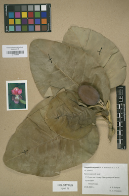 LE 01016203