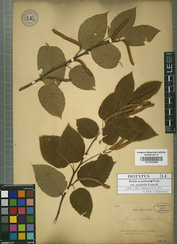 LE 01016204