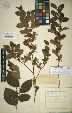 LE 01016238