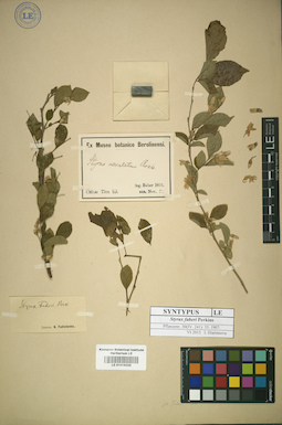 LE 01016239