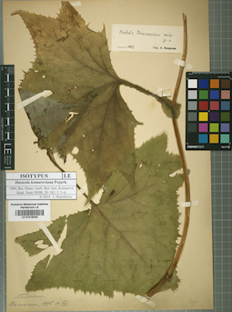LE 01016244