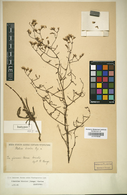 LE 01016249