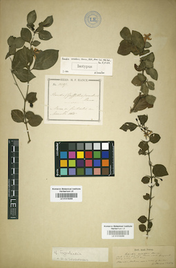 LE 01016256