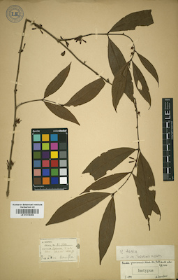 LE 01016259