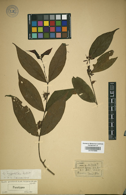 LE 01016260