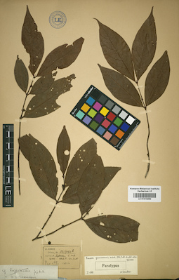 LE 01016262