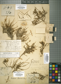 LE 01016263