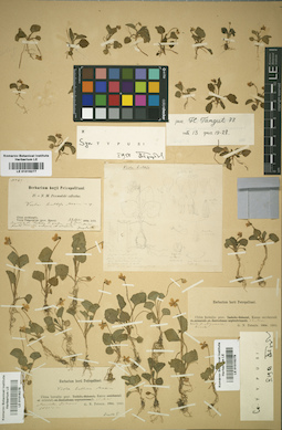 LE 01016278