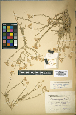 LE 01016282