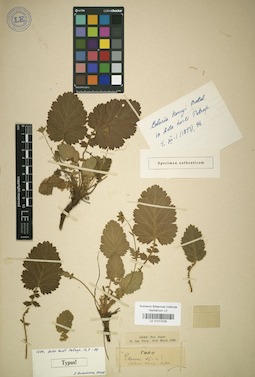 LE 01017026