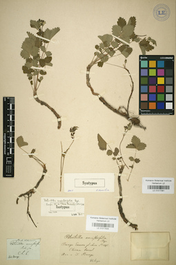 LE 01017061