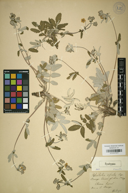 LE 01017077