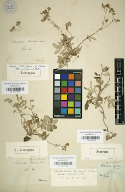 LE 01017078