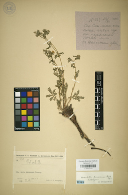 LE 01017103