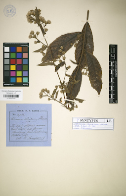 LE 01017107