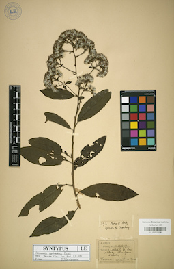 LE 01017108