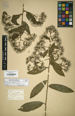 LE 01017109